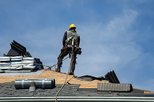 Professional Gutter Installation technician working in Murchison, TX